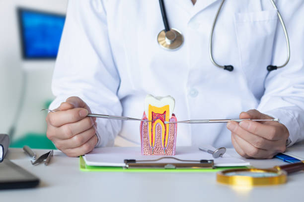 Best Same-Day Emergency Dentist in South Monrovia Island, CA
